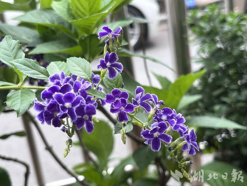开户送38元体验金
